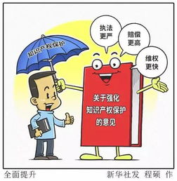 金華出臺知識產(chǎn)權(quán)新政，企業(yè)可享多項優(yōu)惠政策與服務支持